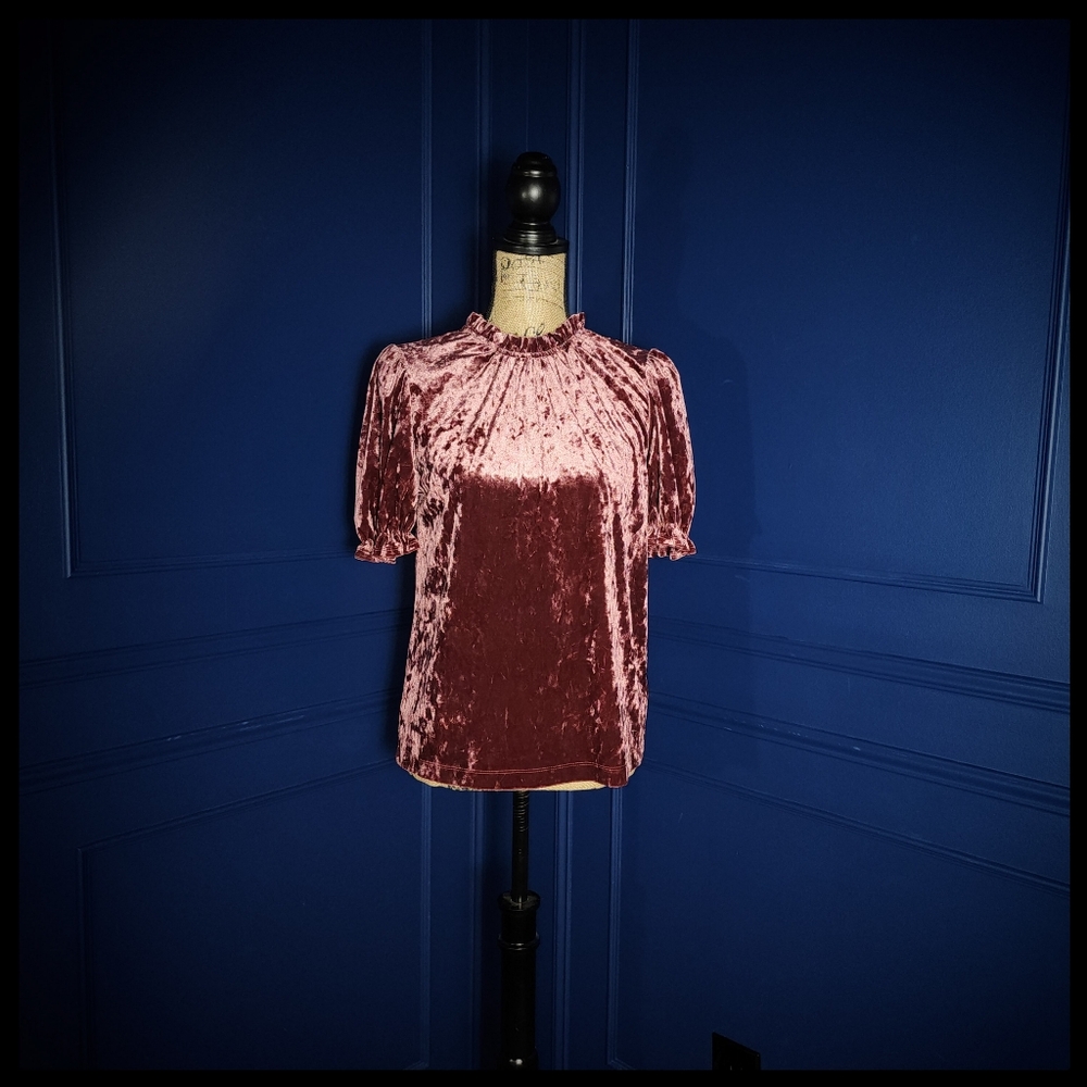 New! theGeT Crushed Velvet Puff Sleeve Top